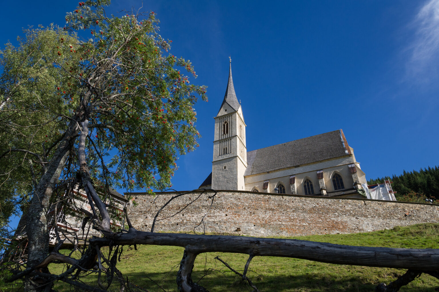 20110810-D3S_3208.jpg