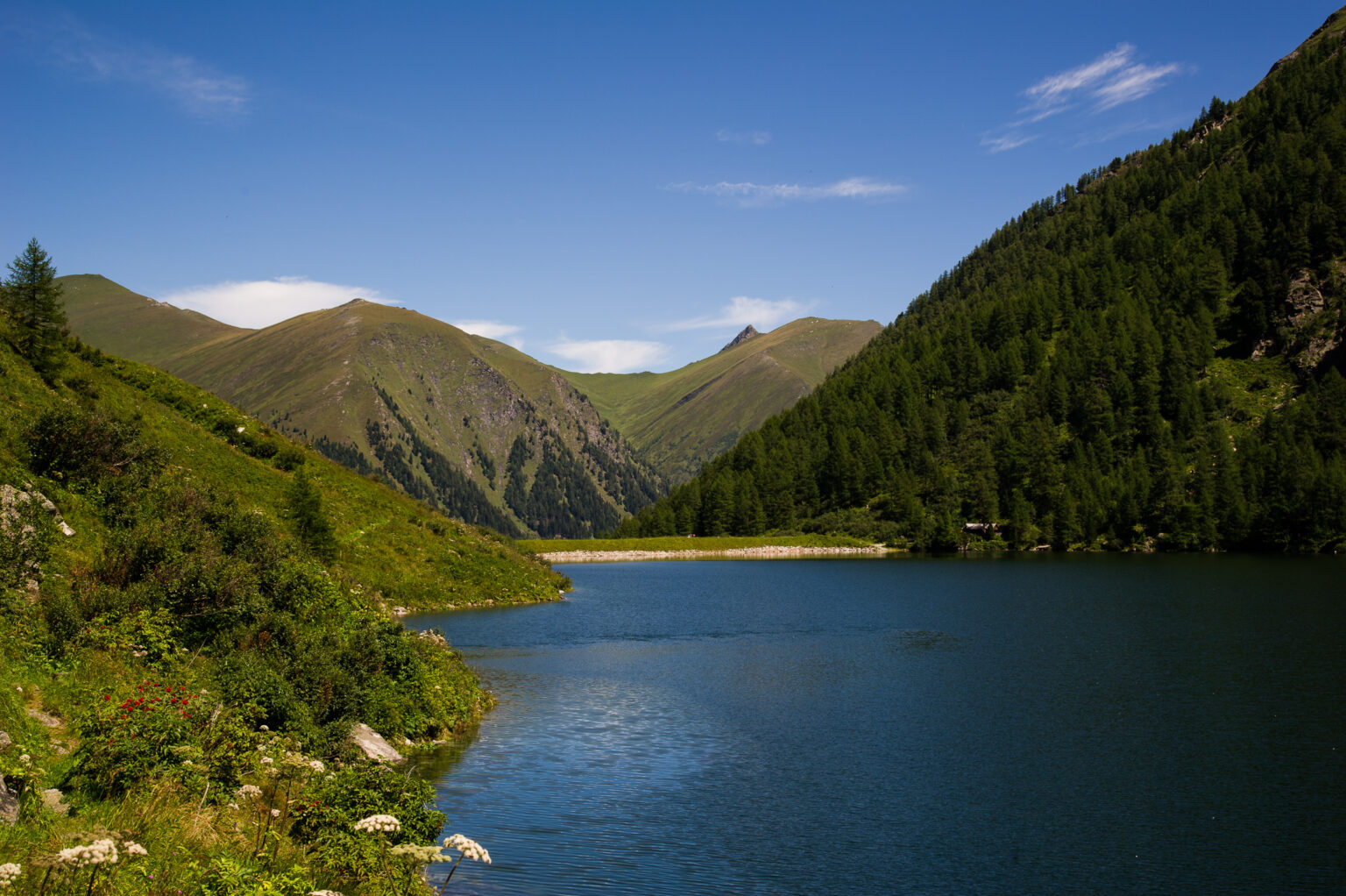 20110811-D3S_3308.jpg