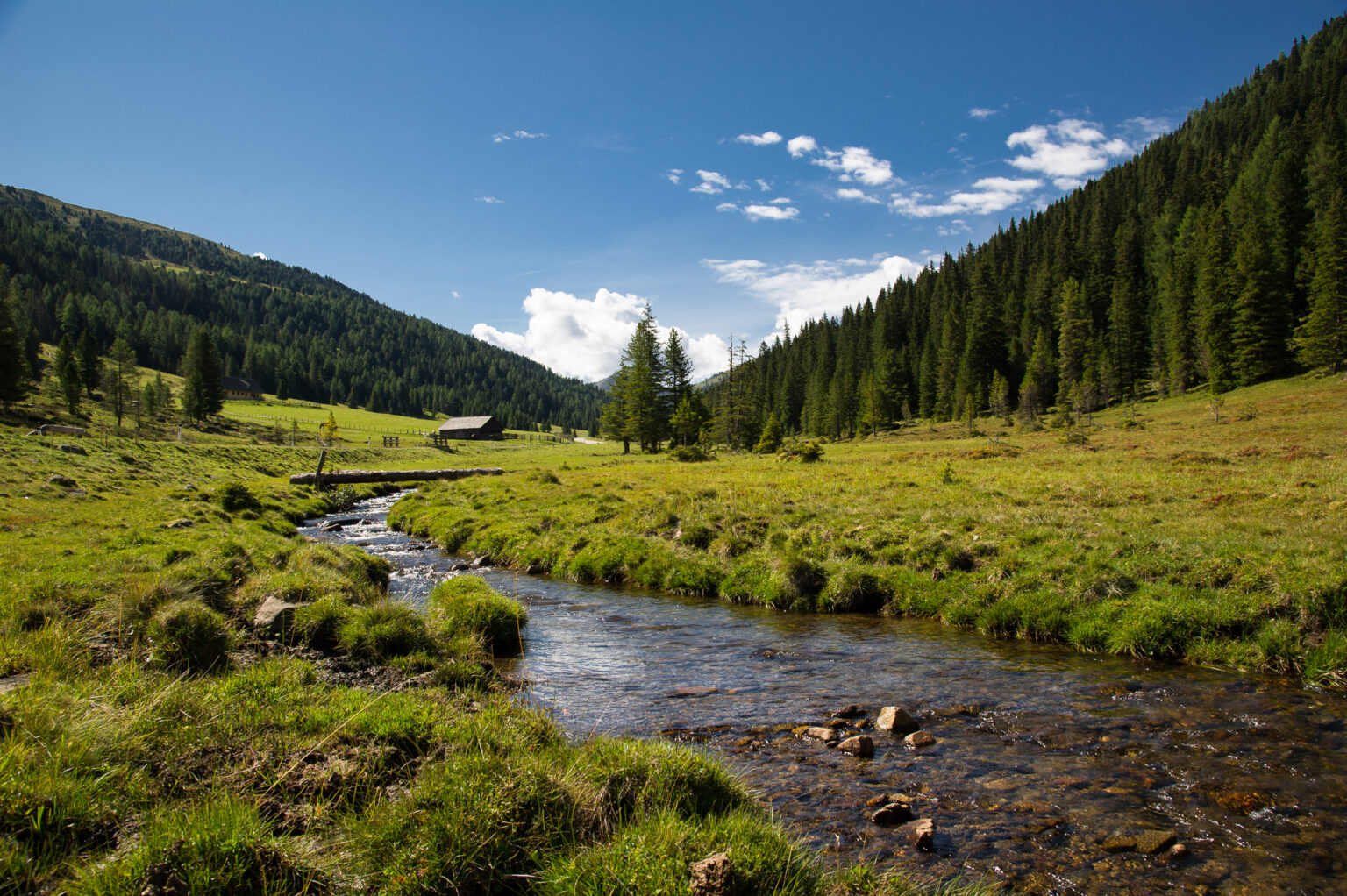 20110812-D3S_3422.jpg