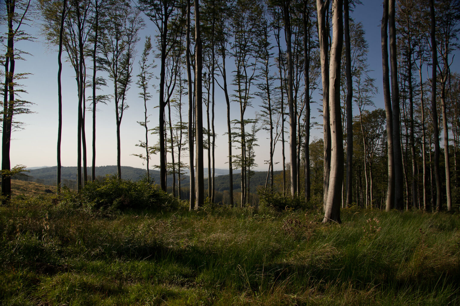 20110924-D3S_5584.jpg