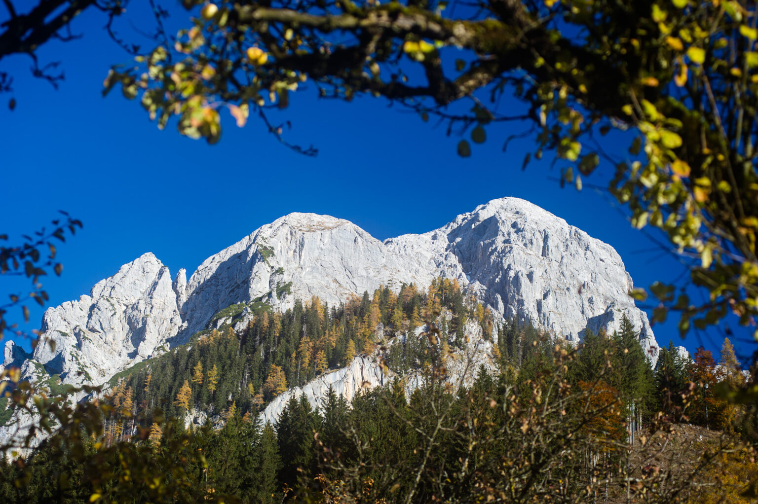 20111030-D3S_6393.jpg