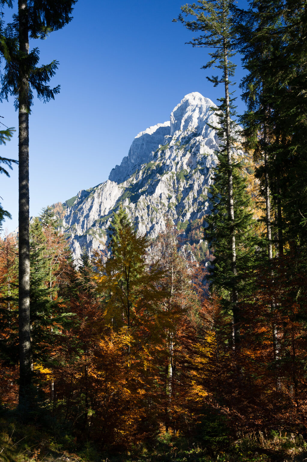 20111031-D3S_6591.jpg