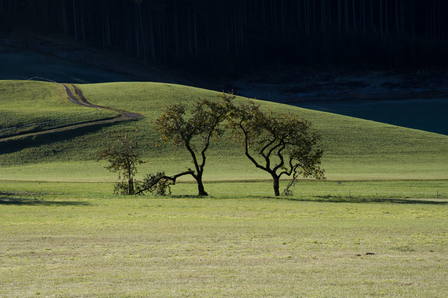 20111101-D3S_6739.jpg
