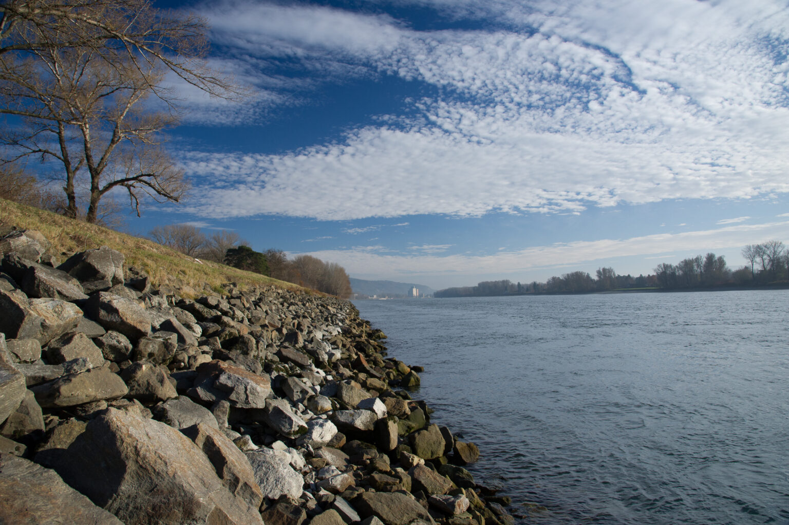 20111127-D3S_7317.jpg