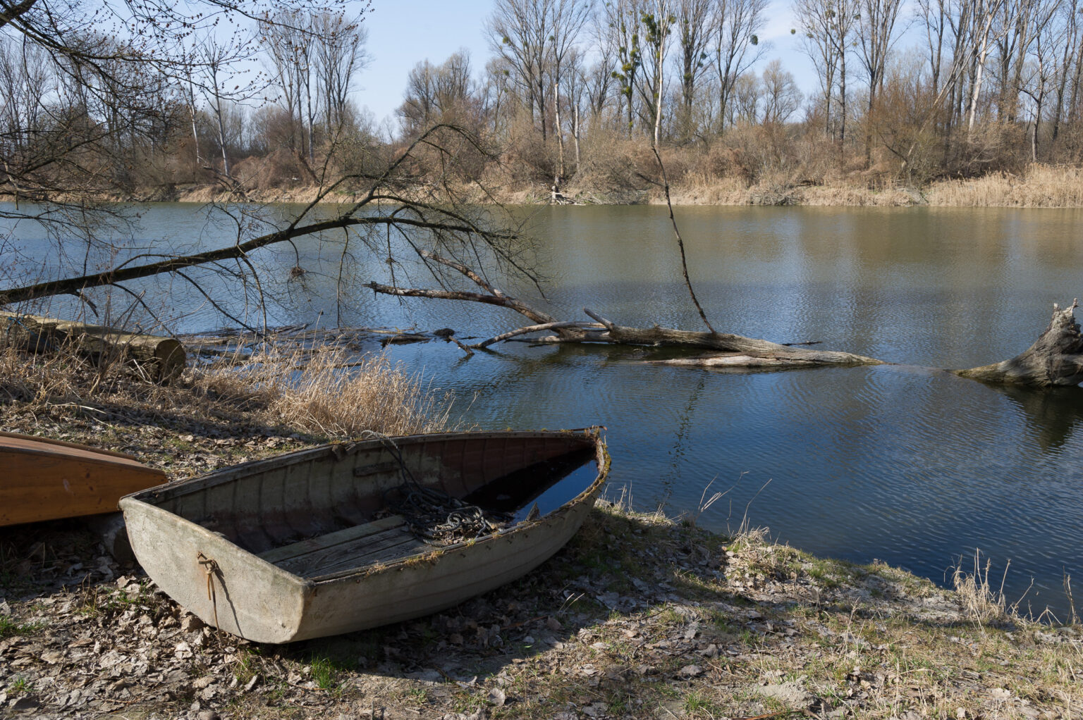 20120318-D3S_0042.jpg