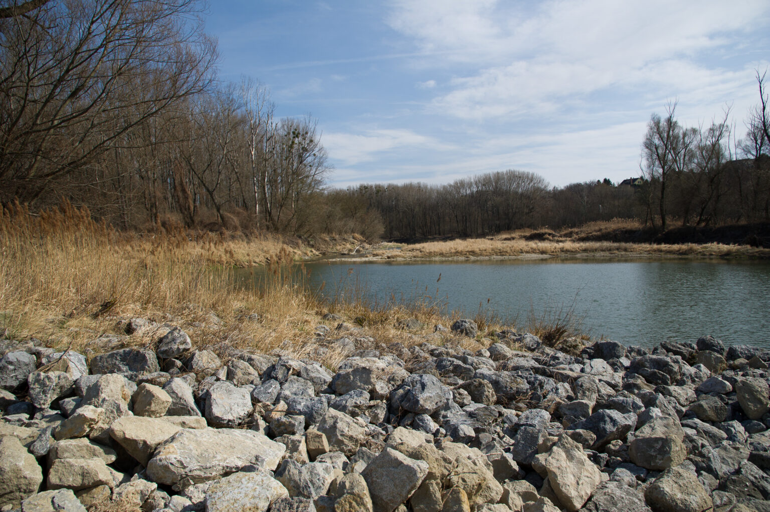 20120318-D3S_0054.jpg