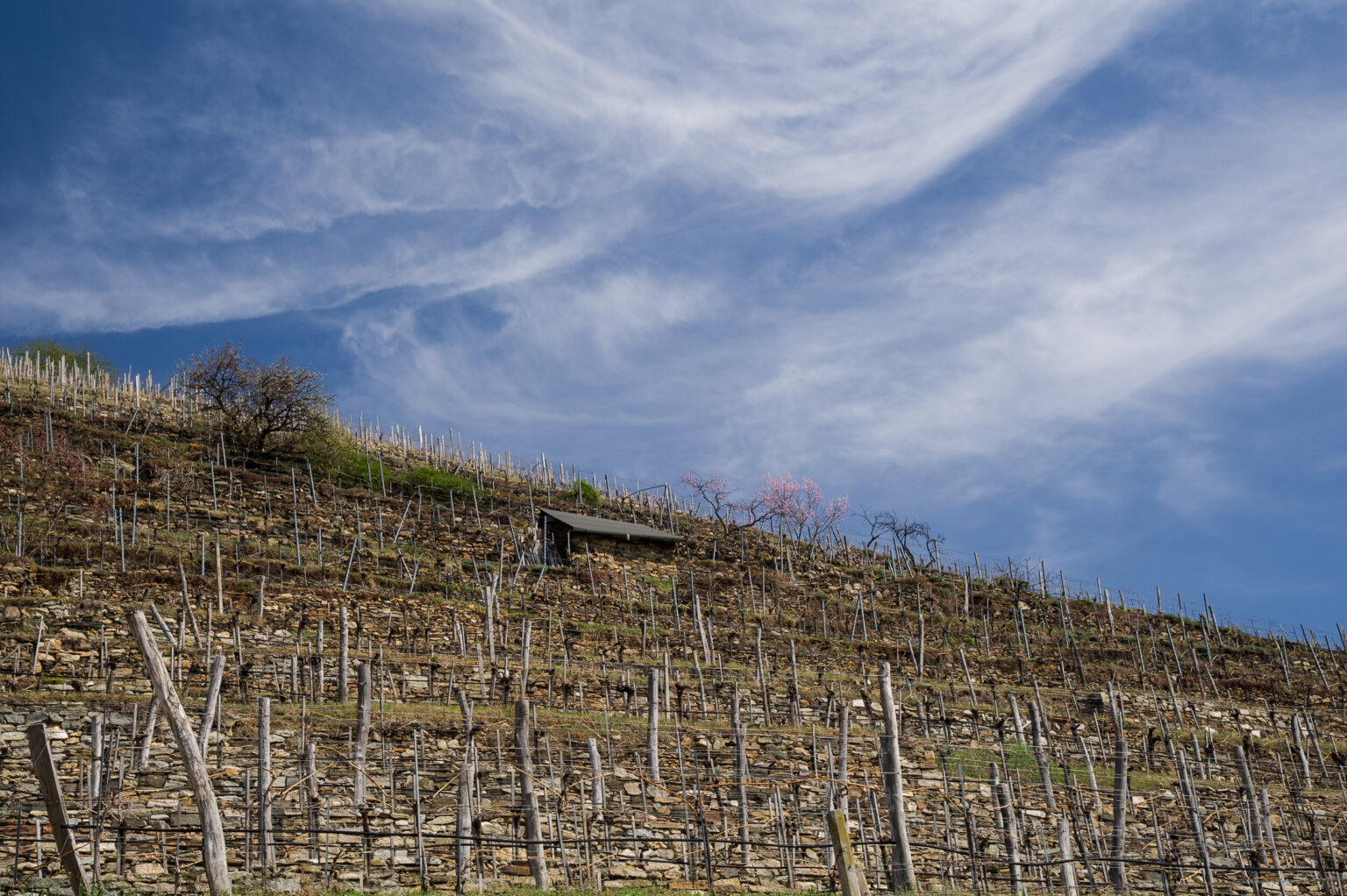 20120404-D3S_0660.jpg