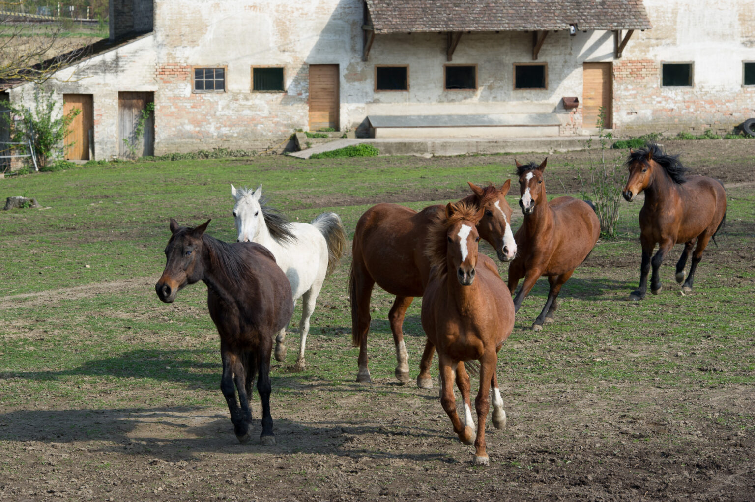 20120418-D3S_1318.jpg