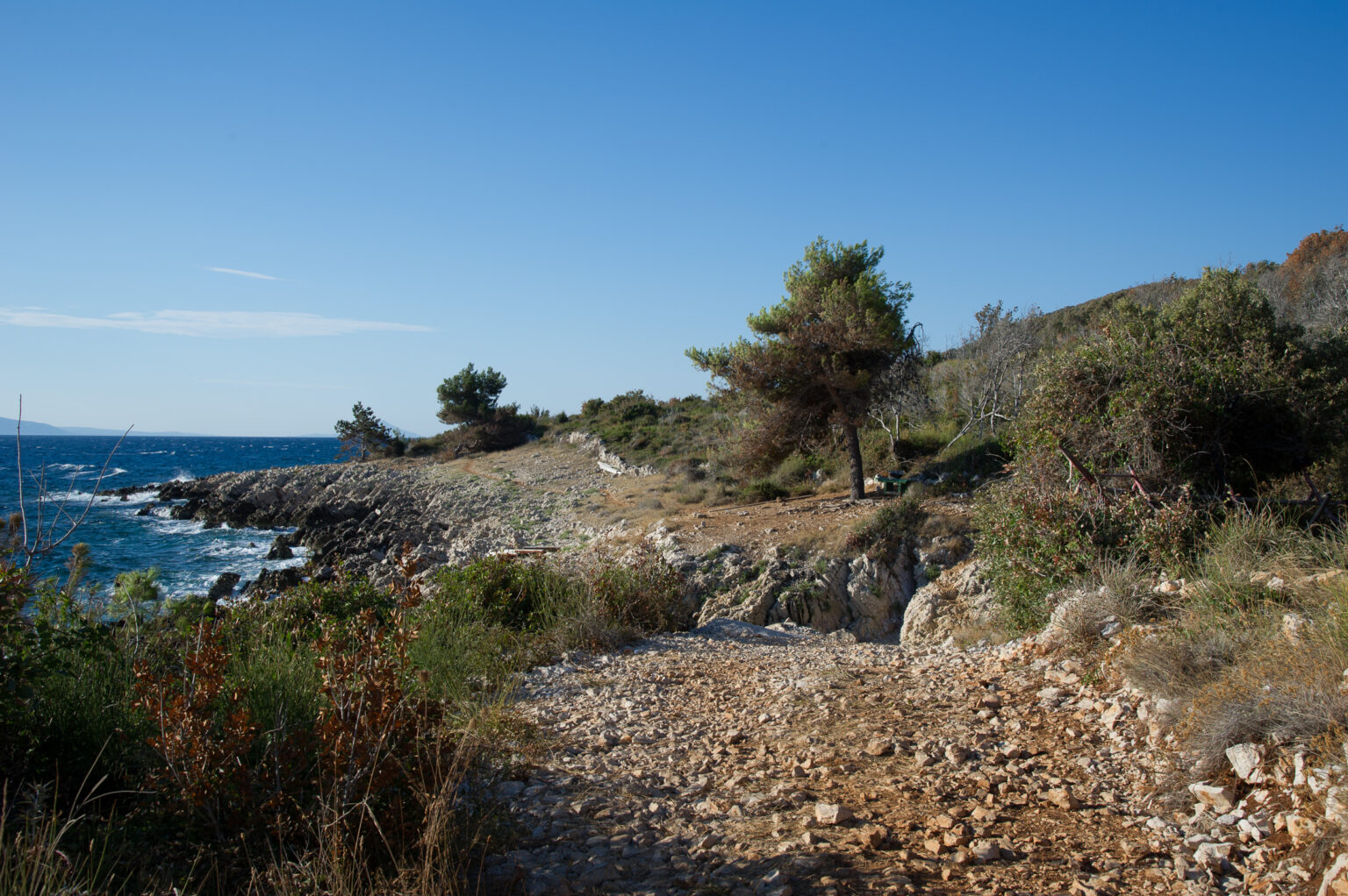 20120810-_D3S3623.jpg