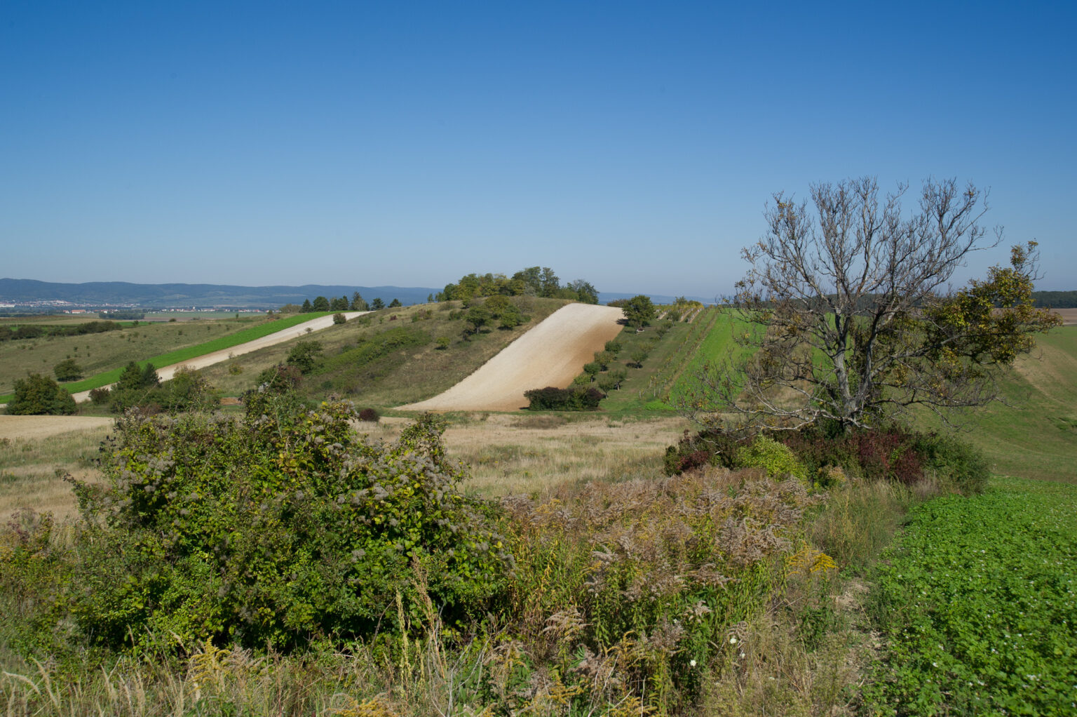 20121006-_D3S5650.jpg