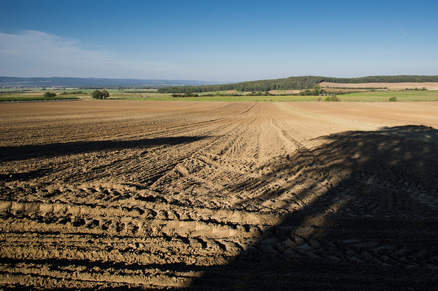 Herbstspuren #2