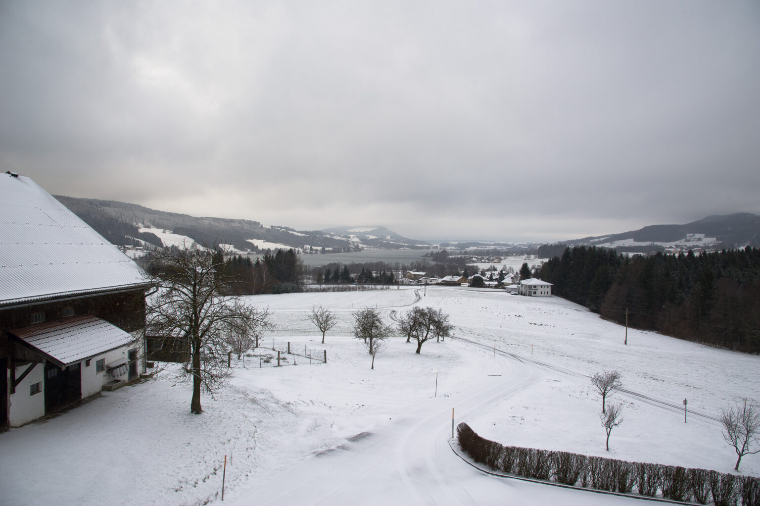 Irrseeblick 24