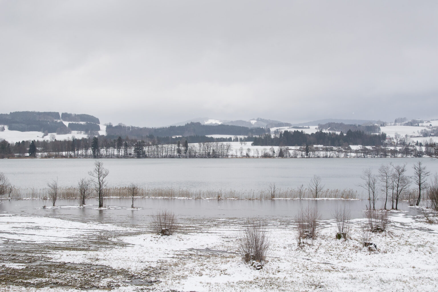 20130203-_D3S7345.jpg