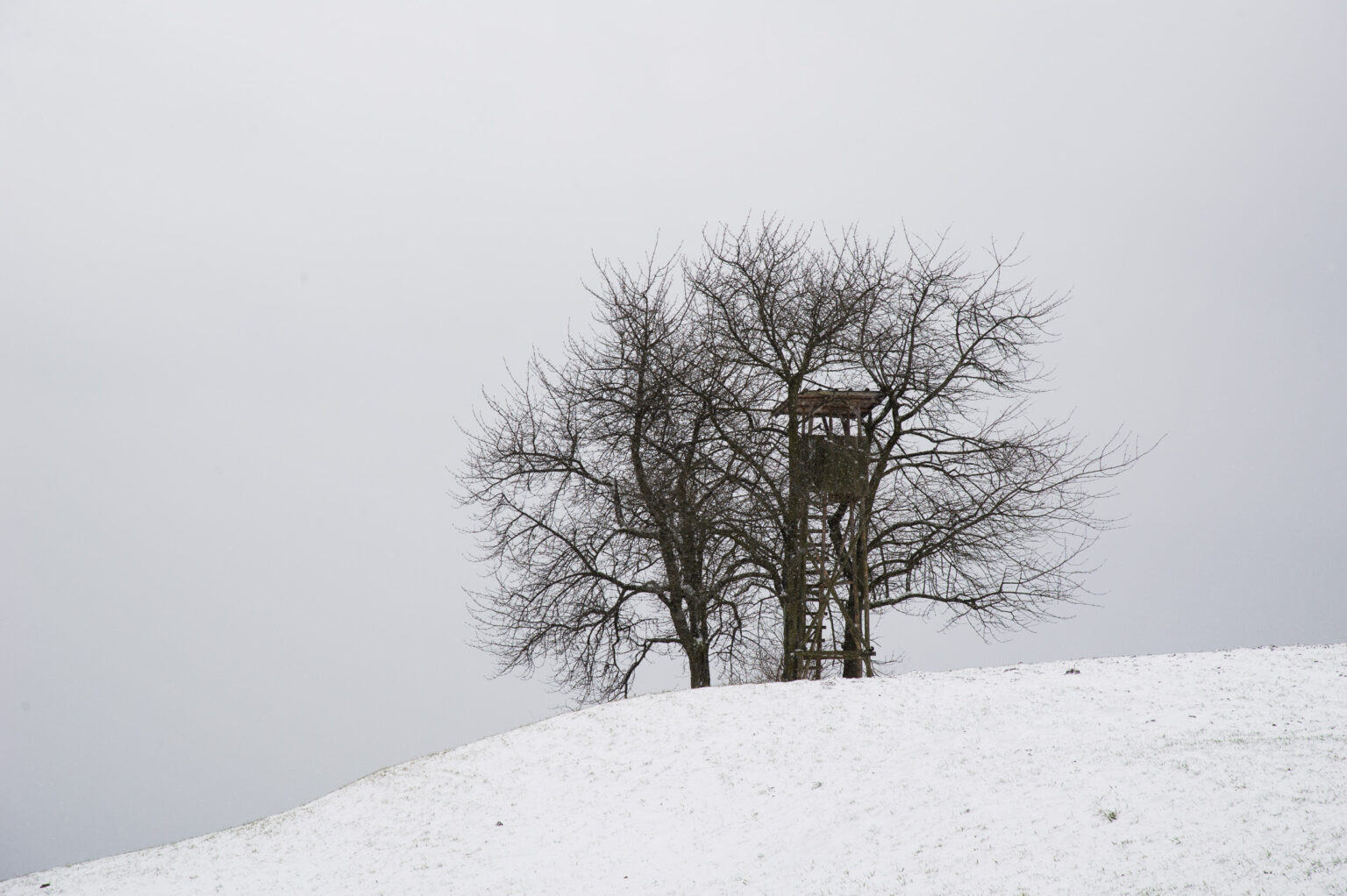 20130203-_D3S7388.jpg