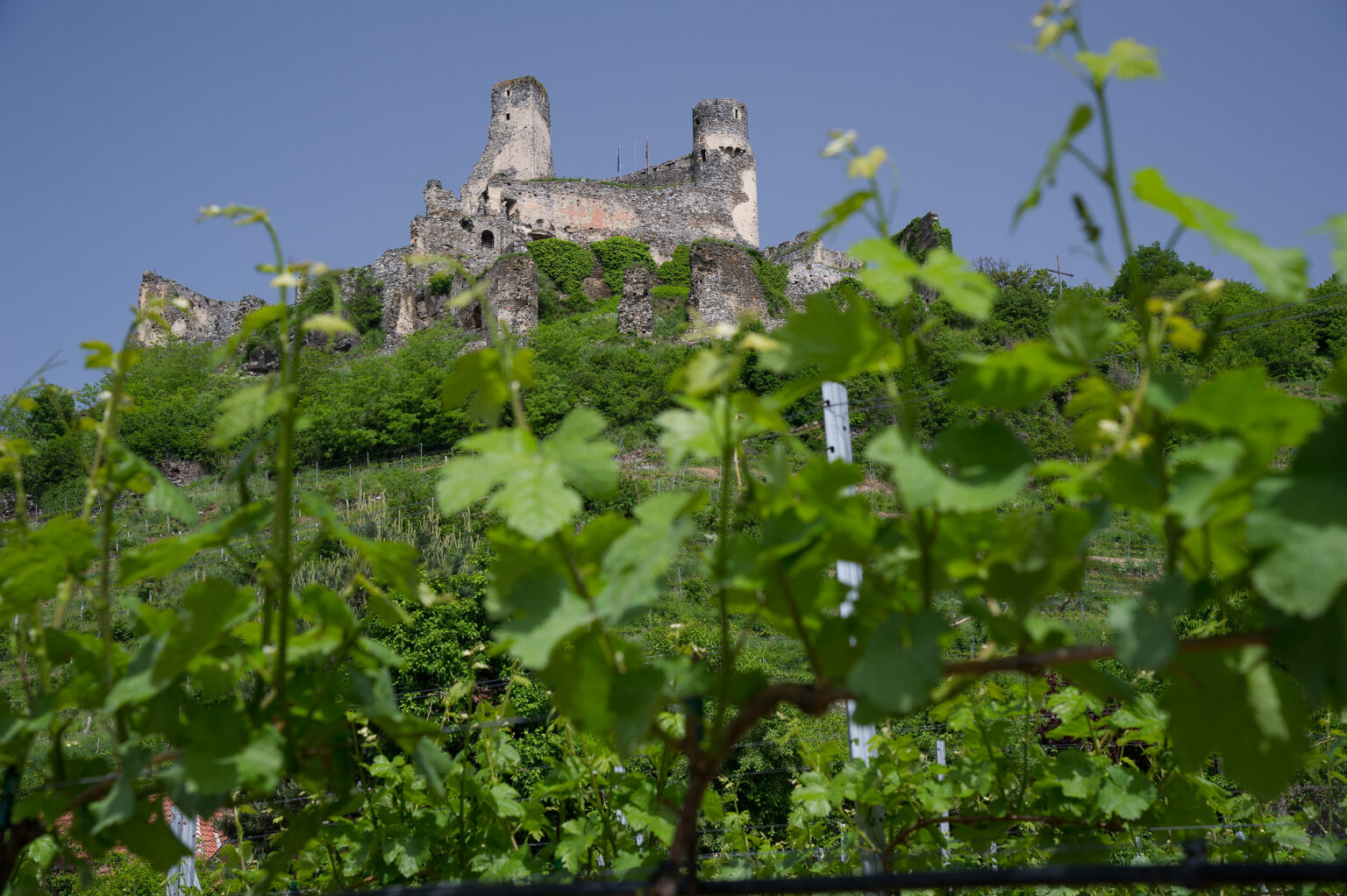 Ruine Senftenberg