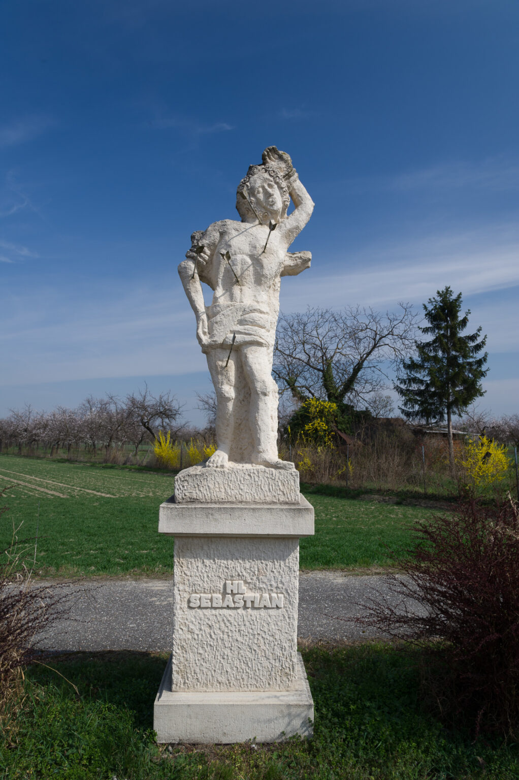 20140322-_D3S2451.jpg