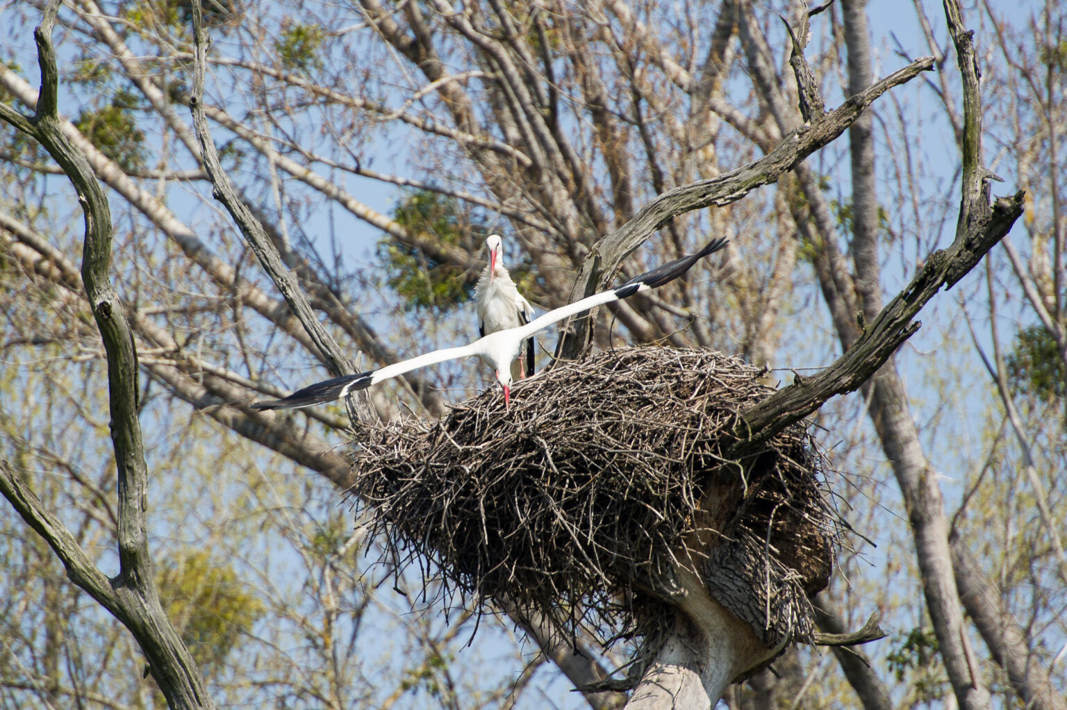Abflug