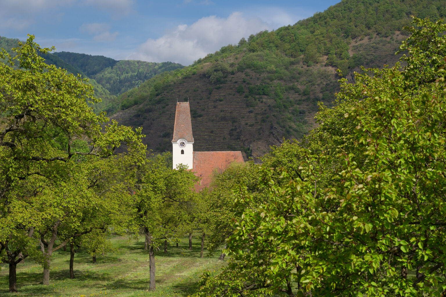 Pfarrkirche Hl.Rupert, Hofarnsdorf