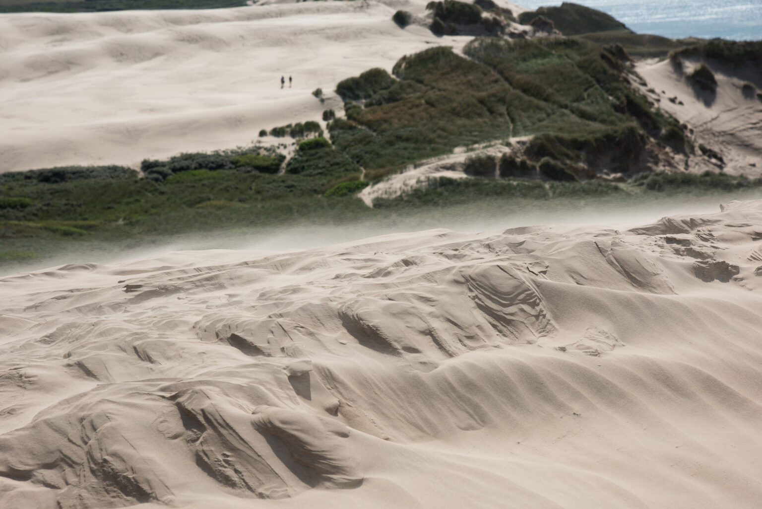 Sandsturm am Rubjerg Knude