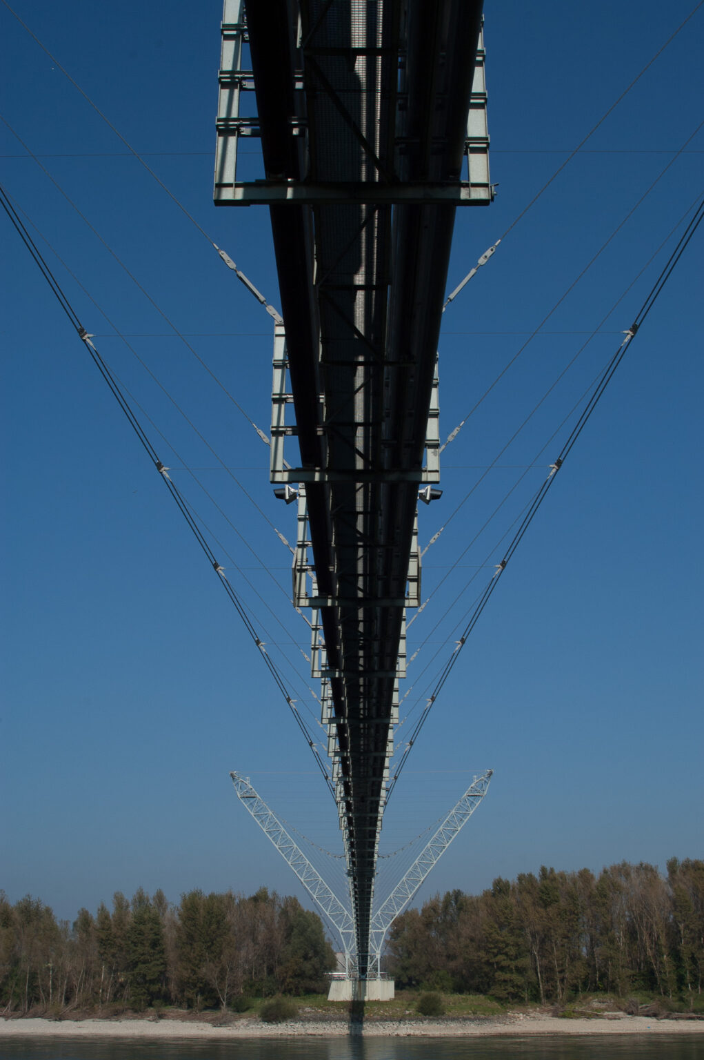 20101010_003_D.jpg