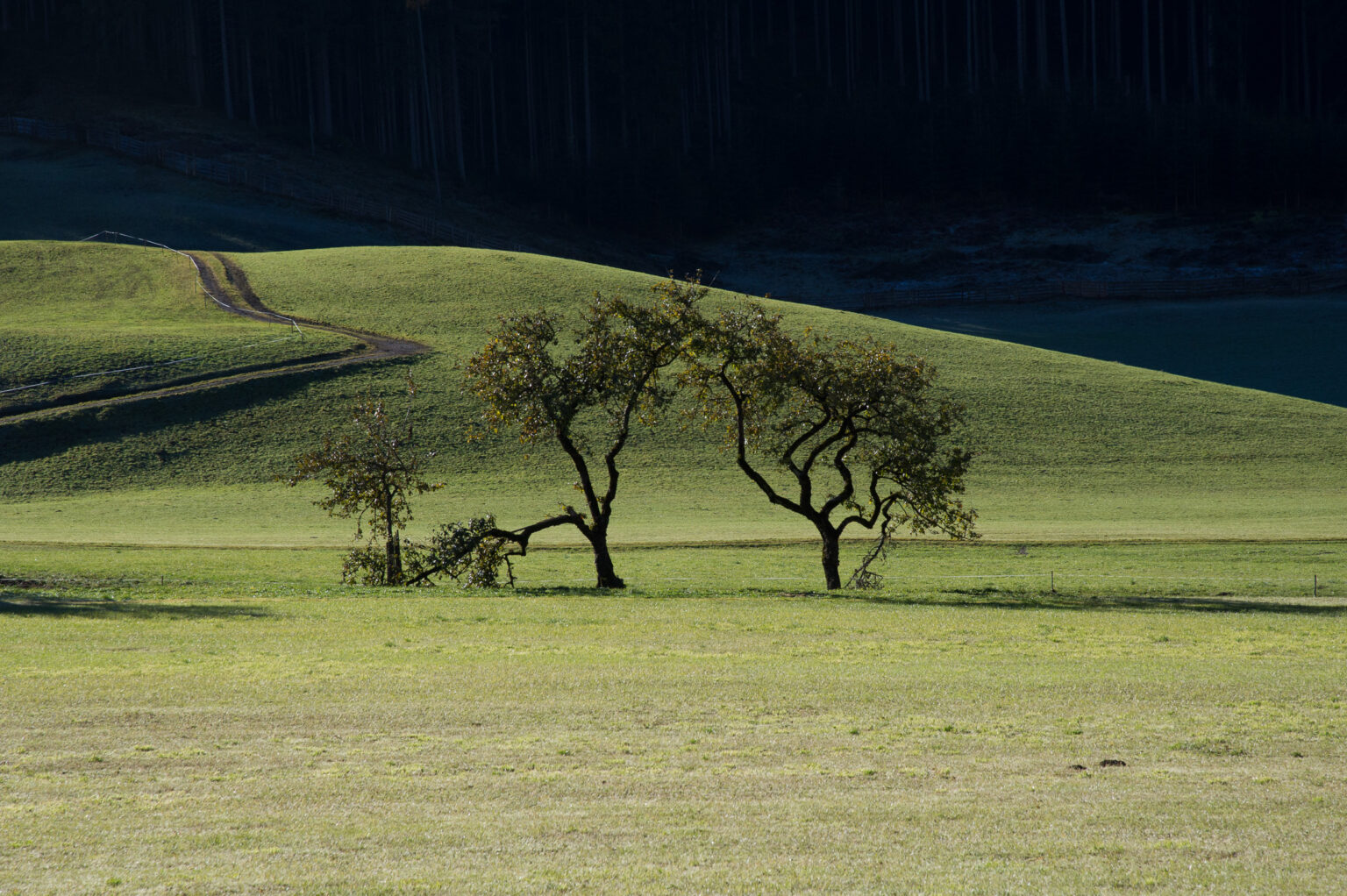 20111101-D3S_6739.jpg