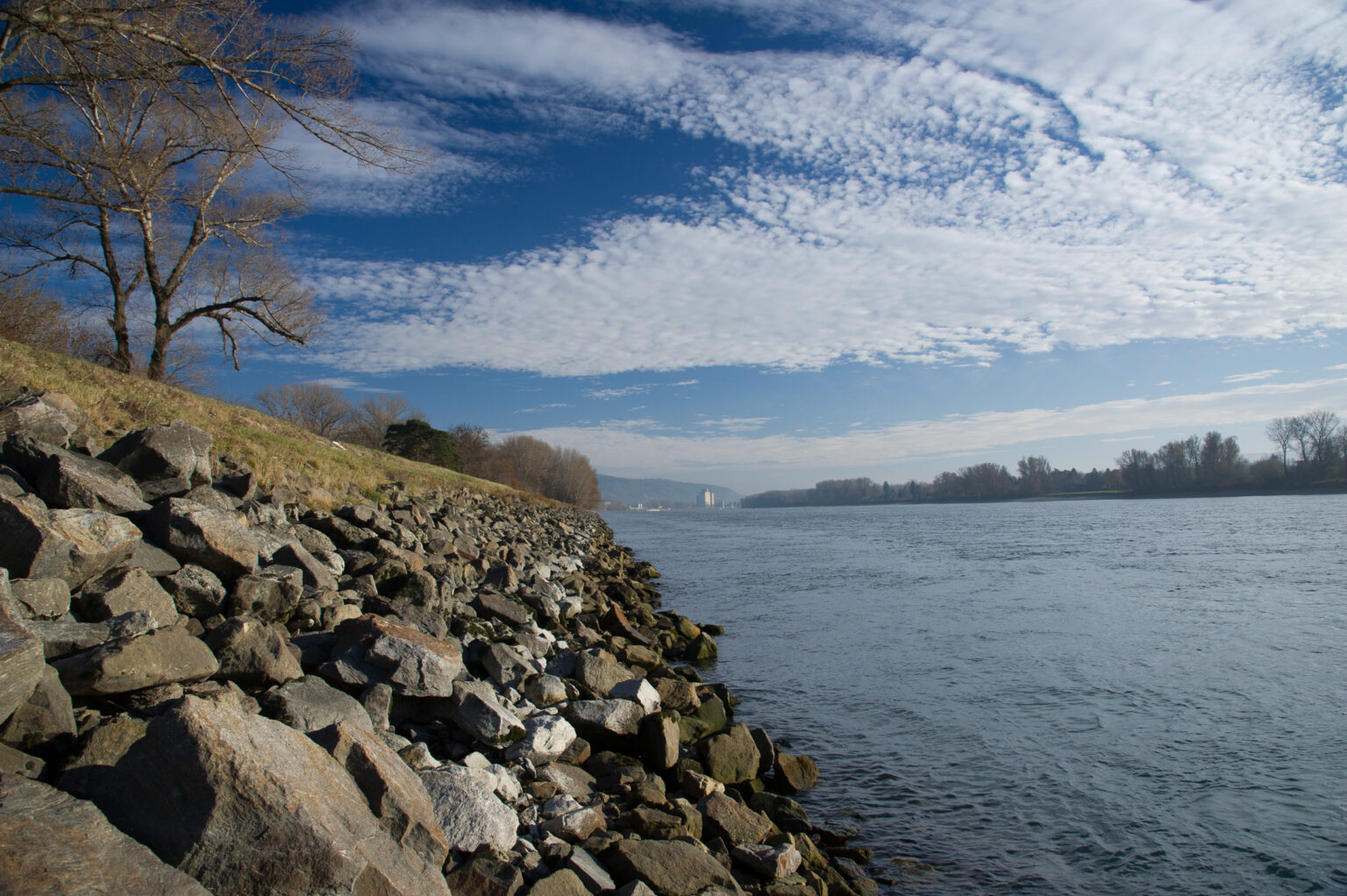 20111127-D3S_7317.jpg