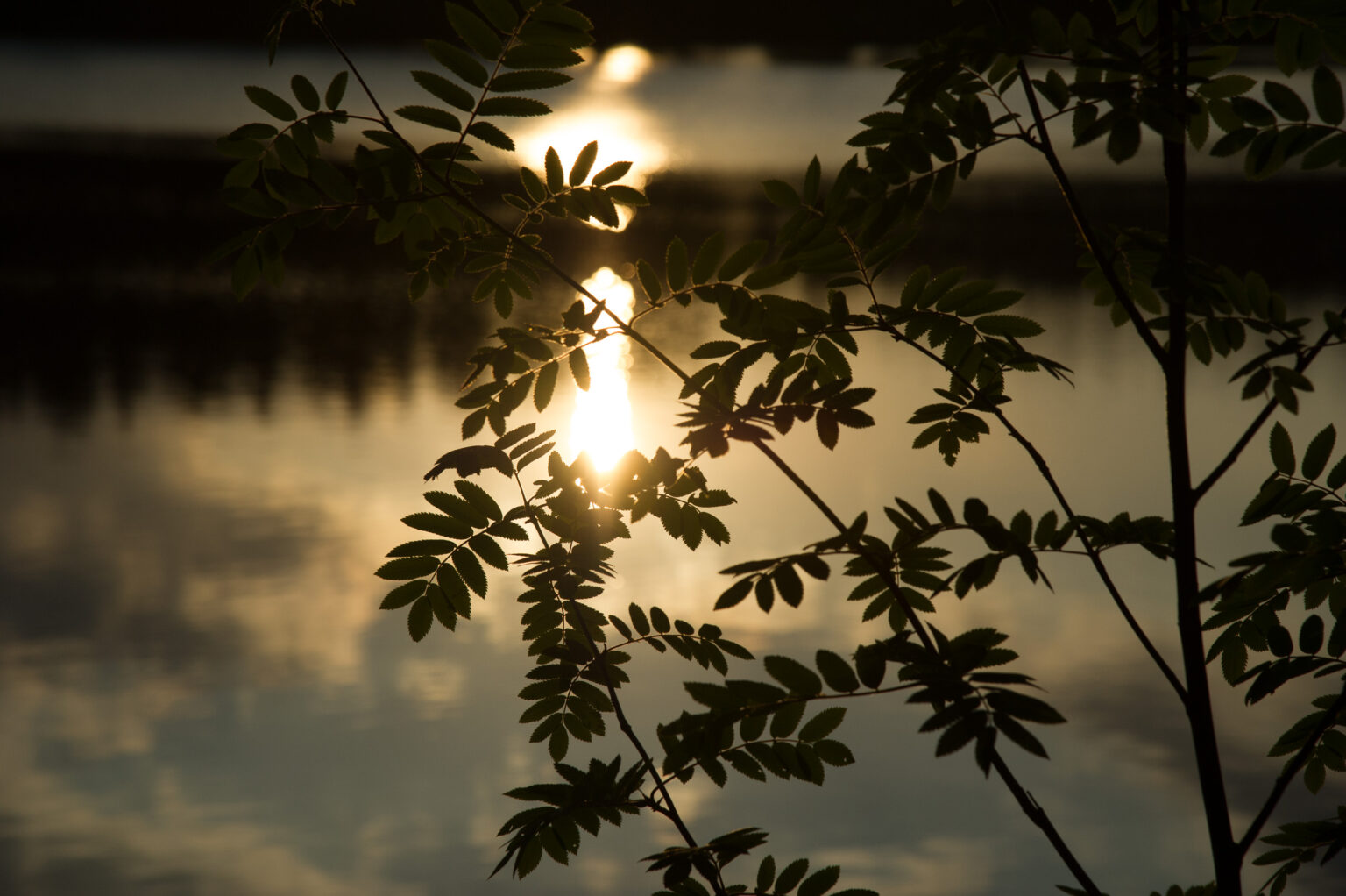 20150604-_D3S7049.jpg