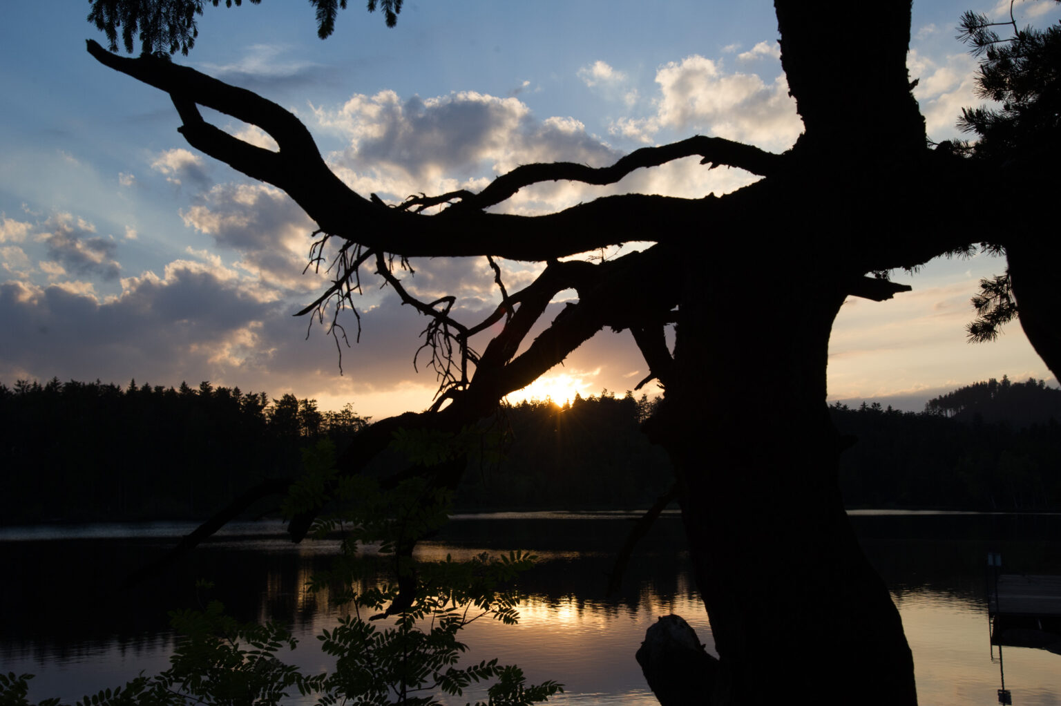20150604-_D3S7054.jpg