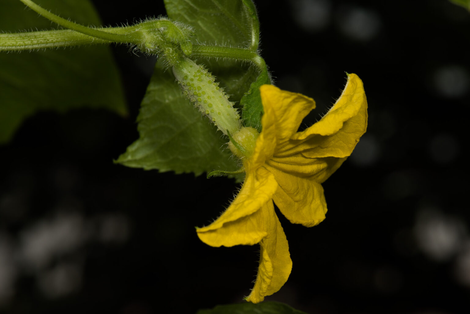 20200724-_D811185.jpg